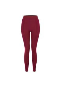 DARE 2B - Legginsy Termoaktywne Damskie. Kolor: fioletowy. Sport: turystyka piesza #1