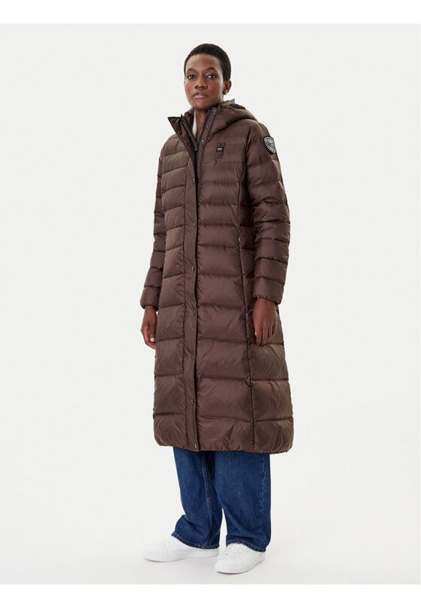 Blauer Płaszcz zimowy 25WBLDK03101 Brązowy Regular Fit. Kolor: brązowy. Materiał: syntetyk. Sezon: zima