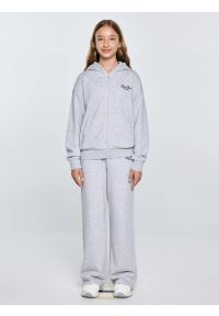 Big-Star - Bluza dziewczęca rozpinana z kapturem szara Milana 901. Okazja: na co dzień. Typ kołnierza: kaptur. Kolor: szary. Materiał: dzianina. Wzór: haft, melanż. Styl: elegancki, casual #4