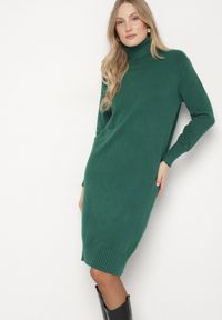 Born2be - Zielona Dzianinowa Sukienka z Bawełną o Prostym Kroju z Golfem Tesala. Okazja: do pracy, na spotkanie biznesowe. Typ kołnierza: golf. Kolor: zielony. Materiał: bawełna, dzianina. Wzór: jednolity. Typ sukienki: proste. Styl: biznesowy, klasyczny #5
