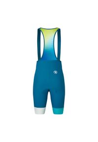 ENDURA - Spodenki Endura Loop. Kolor: zielony, niebieski, wielokolorowy. Długość: krótkie. Sezon: lato. Sport: kolarstwo #1