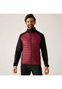 Regatta - Kurtka męska hybrydowa Clumber. Kolor: czerwony, brązowy, wielokolorowy. Materiał: puch. Sport: turystyka piesza #1