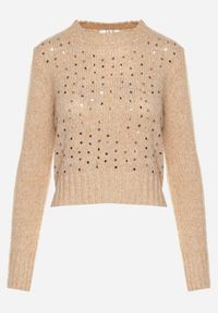 Born2be - Ciemnobeżowy Sweter z Bawełną Ozdobiony Cekinami Savalenne. Okazja: na co dzień. Kolor: beżowy. Materiał: bawełna. Długość rękawa: długi rękaw. Długość: długie. Wzór: aplikacja. Styl: klasyczny, casual #6