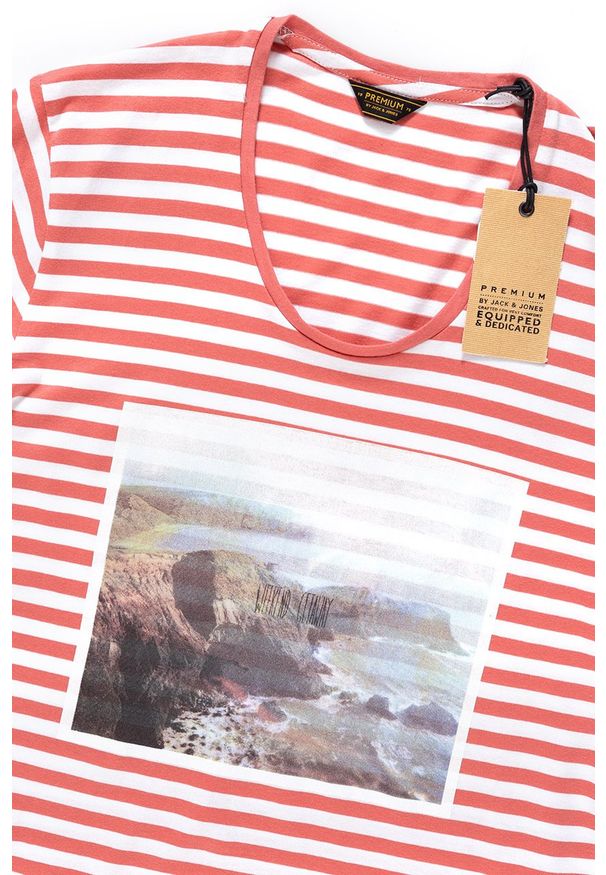 Jack & Jones - JACK & JONES T SHIRT BENNY TEE 12066251. Wzór: paski, nadruk