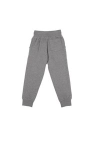 LEONE 1947 APPAREL - Dziecięce spodnie dresowe basic z dużym logo. Kolor: szary. Materiał: dresówka. Sport: joga i pilates