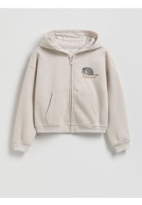 Reserved - Bluza Kubuś Puchatek - jasnoszary. Kolor: szary. Materiał: bawełna. Wzór: motyw z bajki #1