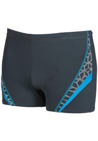 Kąpielówki męskie Arena M Microcarbonite Short. Kolor: szary