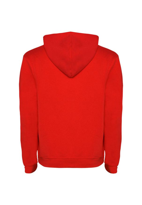 ROLY - Bluza Z Kapturem Dla Dzieci/dzieci Urban Drawstring Hoodie. Typ kołnierza: kaptur. Kolor: zielony, czerwony, wielokolorowy, brązowy