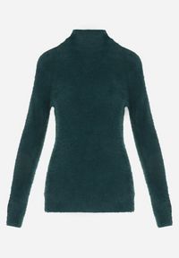 Born2be - Ciemnozielony Golf Wełniany Karle. Typ kołnierza: golf. Kolor: zielony. Materiał: wełna. Długość rękawa: długi rękaw. Długość: długie. Wzór: jednolity. Styl: klasyczny #3