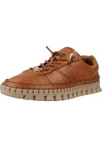 Carmela - Buty CARMELA 162528 Brązowy. Kolor: brązowy. Materiał: tkanina, skóra. Styl: sportowy