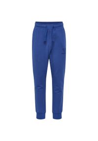 Spodnie dresowe dla dzieci Hummel Fastwo. Kolor: niebieski. Materiał: dresówka. Sport: joga i pilates, bieganie #1