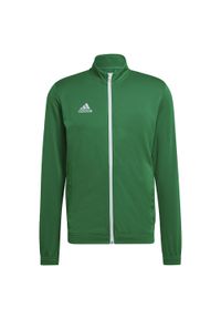 Adidas - Bluza piłkarska męska adidas Entrada 22 Track Jacket. Kolor: biały, wielokolorowy, zielony. Materiał: materiał. Sport: piłka nożna