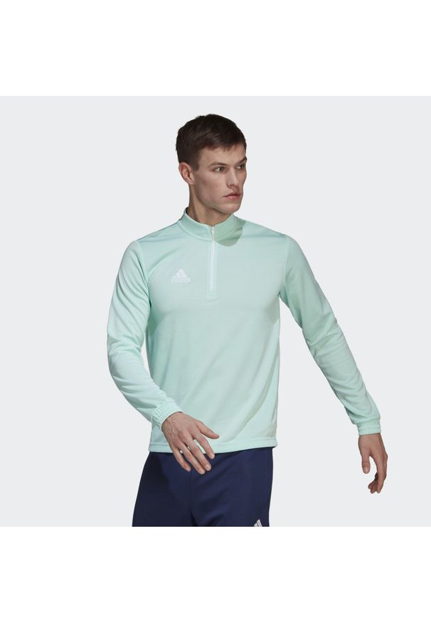 Adidas - Bluza treningowa męska adidas Entrada 22 Training Top. Kolor: biały, zielony, turkusowy, wielokolorowy
