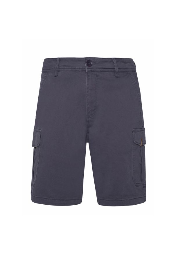 Spodenki cargo Protest Prtnytro. Kolor: niebieski. Materiał: bawełna. Sezon: lato. Sport: turystyka piesza