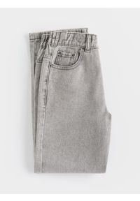 Reserved - Jeansy straight - jasnoszary. Kolor: szary #1