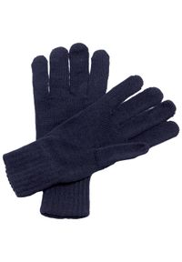 Regatta - Męskie Rękawiczki Robocze Thermal. Kolor: niebieski #1