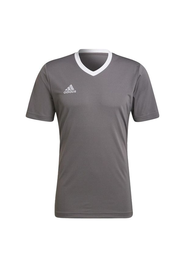 Adidas - Entrada 22 Jersey. Kolor: szary. Materiał: poliester, jersey. Sport: piłka nożna