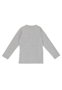 LEONE 1947 APPAREL - Dziewczęcy t-shirt Leone z długim rękawem i cekinami w kolorze Super Grey. Kolor: szary. Długość rękawa: długi rękaw. Długość: długie. Sport: joga i pilates