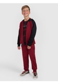 4f - 4F T-shirt sportowy szybkoschnący chłopięcy - multikolor 146/152 (10-12 lat). Kolor: wielokolorowy. Sezon: lato #2