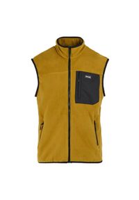 Regatta - Męska Kamizelka Polarowa Frankie. Kolor: różowy, pomarańczowy, wielokolorowy, żółty. Materiał: polar. Styl: sportowy. Sport: turystyka piesza #1