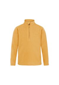 Polar 1/4 zip dla dzieci Protest Perfect Td. Kolor: zielony, żółty, wielokolorowy. Materiał: polar. Sezon: zima. Sport: narciarstwo