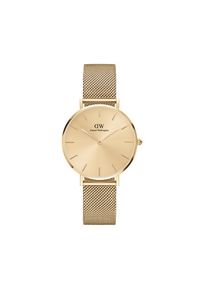 Zegarek Daniel Wellington. Kolor: złoty