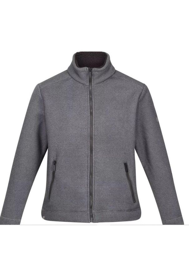 Regatta - Polar Z Suwakiem Męski Garrian II. Kolor: szary, fioletowy, wielokolorowy. Materiał: polar. Sezon: zima. Styl: sportowy. Sport: turystyka piesza