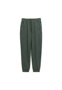 PITBULL - Spodnie męskie Pitbull Lancaster 2 Track Pants. Kolor: zielony. Sport: fitness #1