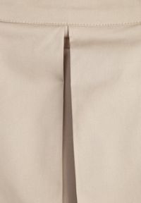 Born2be - Beżowa Rozkloszowana Spódnica z Bawełny z Szerokimi Plisami Malona. Okazja: na co dzień, do pracy. Kolor: beżowy. Materiał: bawełna. Styl: casual #3