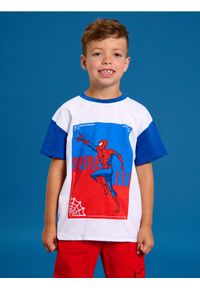 Sinsay - Bawełniana koszulka z krótkim rękawem Spiderman - biały. Kolor: biały. Materiał: bawełna. Długość rękawa: krótki rękaw. Długość: krótkie. Wzór: motyw z bajki #1