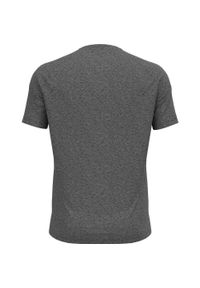Koszulka do biegania męska Odlo T-shirt crew neck ACTIVE 365. Kolor: szary. Sport: turystyka piesza