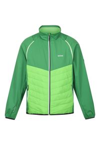 Regatta - Kurtka Męska Steren Hybrid Soft Shell. Kolor: zielony. Materiał: softshell. Sport: turystyka piesza