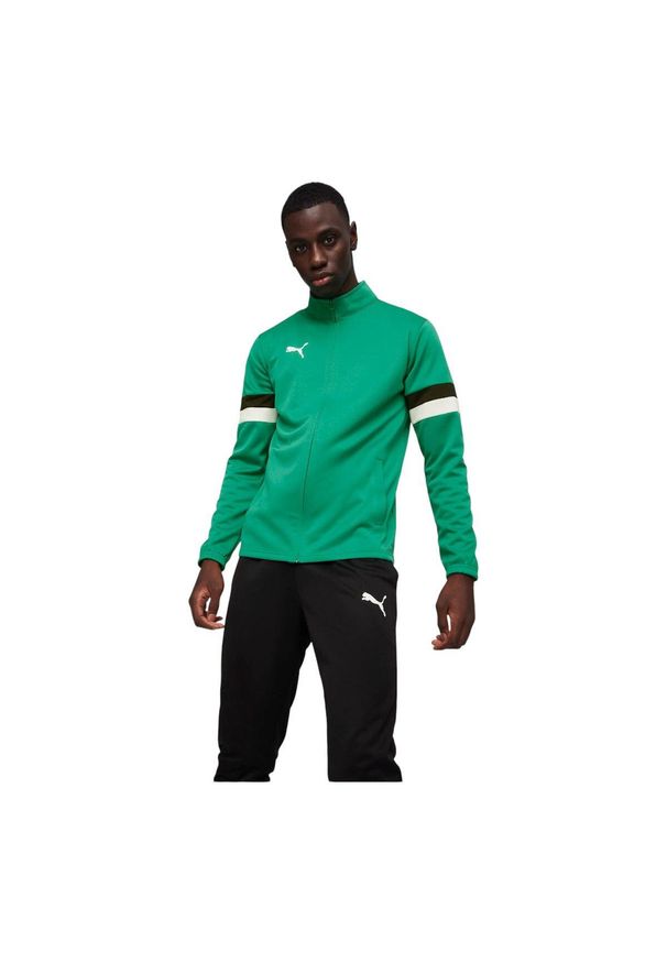 Dres męski Puma Team Rise. Kolor: biały, czarny, wielokolorowy, zielony. Materiał: dresówka. Sport: piłka nożna