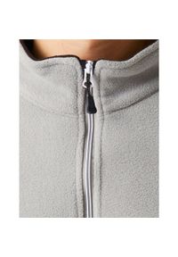 Regatta - Bluza Polarowa Męska Ascender 250. Kolor: szary, wielokolorowy, czarny. Materiał: polar. Sezon: zima. Styl: sportowy. Sport: turystyka piesza #2