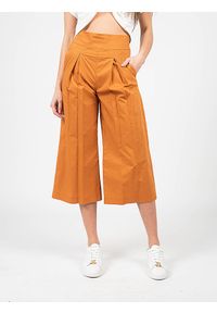Pinko Spodnie "Teso 4" | 1G161E Y6VX | Teso 4 | Kobieta | Brązowy. Stan: podwyższony. Kolor: brązowy. Materiał: bawełna #3