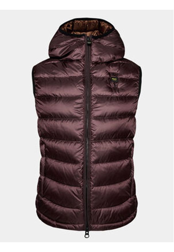 Blauer Kamizelka 23WBLUX03081 Brązowy Regular Fit. Kolor: brązowy. Materiał: syntetyk