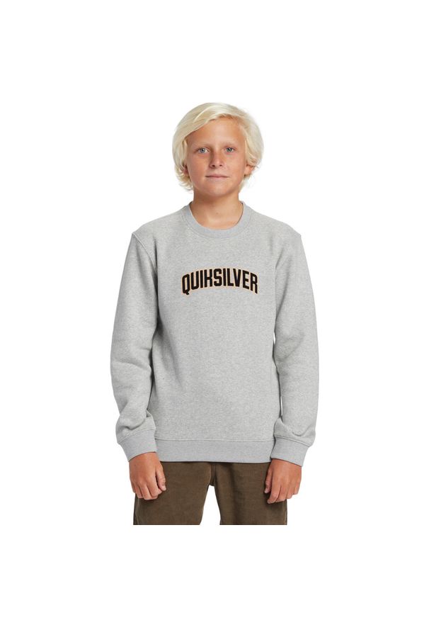 Quiksilver - Bluza z kapturem dla Chłopcy GRAPHIC Szary. Okazja: na co dzień. Typ kołnierza: kaptur. Kolor: szary. Materiał: materiał, poliester, bawełna. Styl: casual