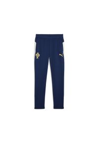 Puma - Męskie spodnie treningowe Portugalia PUMA Persian Blue Sugared Almond Beige. Kolor: niebieski, wielokolorowy, beżowy. Sport: piłka nożna