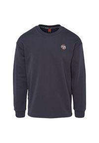 Iguana - Bluza Męska Grove. Kolor: niebieski, wielokolorowy, zielony. Materiał: polar. Sport: turystyka piesza #1