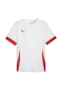 Koszulka Puma TeamGoal. Kolor: czerwony, różowy, wielokolorowy, biały. Materiał: materiał. Sport: piłka nożna #1