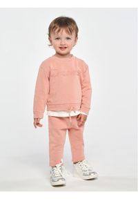 BIRBA&TRYBEYOND - Birba Trybeyond Spodnie dresowe 999 62024 00 M Różowy Regular Fit. Kolor: różowy. Materiał: bawełna #1