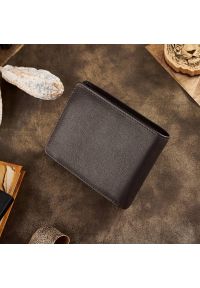 Portfel skórzany PAOLO PERUZZI T-79-BR brązowy. Kolor: brązowy. Materiał: skóra #1