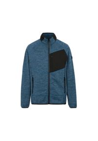 Polar zapinany na zamek błyskawiczny Regatta Salzance. Kolor: niebieski. Materiał: polar. Sport: turystyka piesza #1