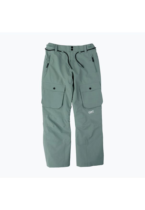 Spodnie snowboardowe męskie Colourwear Flight. Kolor: zielony. Sezon: zima. Sport: snowboard