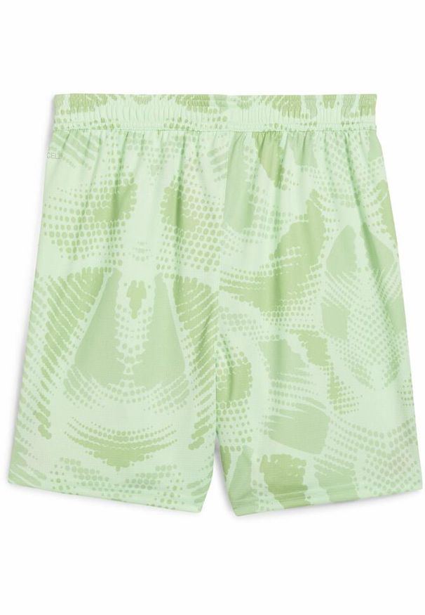 Puma - Młodzieżowe szorty bramkarskie AC Milan 24/25 PUMA Fresh Mint Green. Kolor: zielony