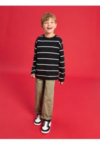 Sinsay - Koszulka w paski z długimi rękawam - czarny. Kolor: czarny. Długość: długie. Wzór: paski #1