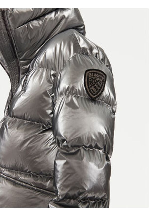 Blauer Kurtka zimowa 24WBLDC02250 Srebrny Regular Fit. Kolor: srebrny. Materiał: syntetyk. Sezon: zima