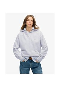 Superdry - Bluza z kapturem Studios. Typ kołnierza: kaptur. Kolor: niebieski #1