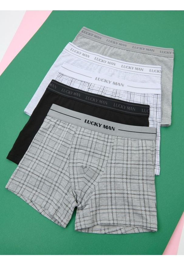 Sinsay - Bokserki Long 5 pack - wielobarwny