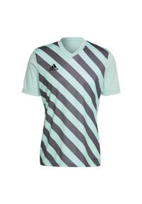 Adidas - Entrada 22 Graphic Jersey. Kolor: szary, wielokolorowy, zielony. Materiał: jersey. Sezon: lato. Sport: piłka nożna